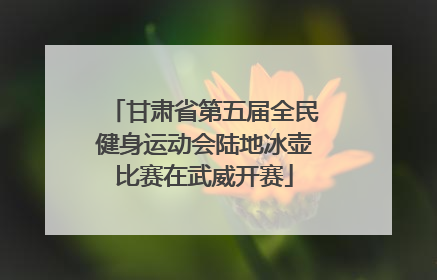 甘肃省第五届全民健身运动会陆地冰壶比赛在武威开赛