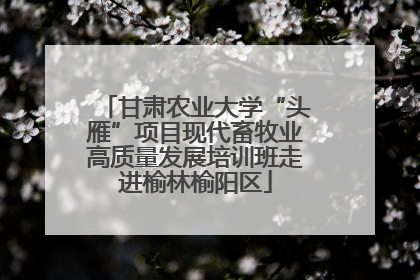 甘肃农业大学“头雁”项目现代畜牧业高质量发展培训班走进榆林榆阳区