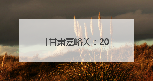 甘肃嘉峪关：2025嘉峪关长城马拉松赛鸣枪开跑