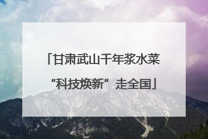 甘肃武山千年浆水菜“科技焕新”走全国