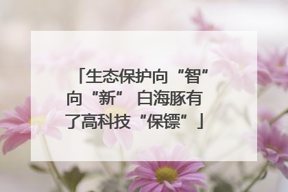 生态保护向“智”向“新” 白海豚有了高科技“保镖”