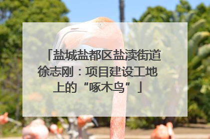 盐城盐都区盐渎街道徐志刚：项目建设工地上的“啄木鸟”