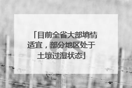 目前全省大部墒情适宜，部分地区处于土壤过湿状态