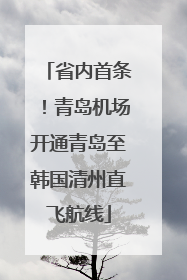 省内首条！青岛机场开通青岛至韩国清州直飞航线