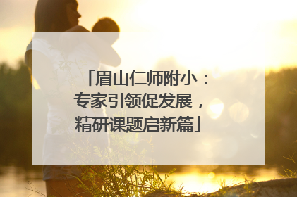 眉山仁师附小：专家引领促发展，精研课题启新篇
