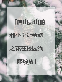 眉山彭山鹏利小学让劳动之花在校园绚丽绽放