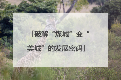 破解“煤城”变“美城”的发展密码