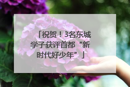 祝贺！3名东城学子获评首都“新时代好少年”