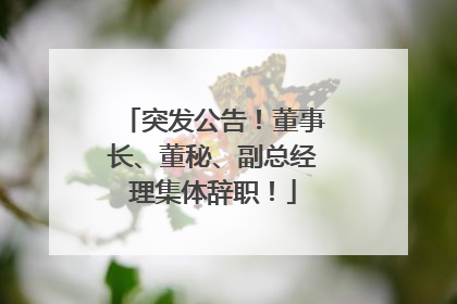 突发公告！董事长、董秘、副总经理集体辞职！