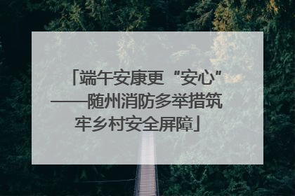 端午安康更“安心”——随州消防多举措筑牢乡村安全屏障