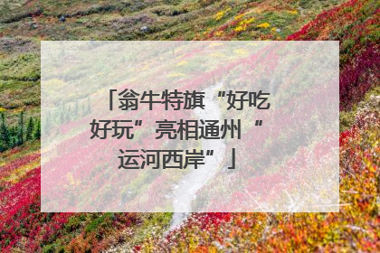 翁牛特旗“好吃好玩”亮相通州“运河西岸”
