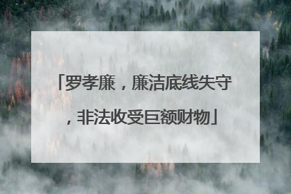 罗孝廉，廉洁底线失守，非法收受巨额财物