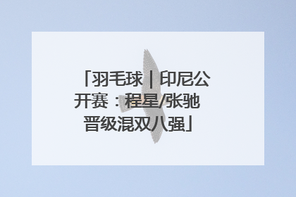 羽毛球｜印尼公开赛：程星/张驰晋级混双八强