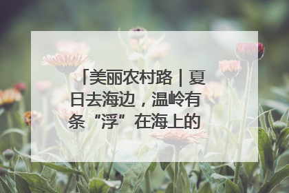 美丽农村路｜夏日去海边，温岭有条“浮”在海上的公路你去过吗？
