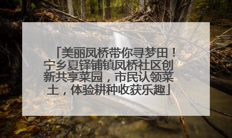 美丽凤桥带你寻梦田！宁乡夏铎铺镇凤桥社区创新共享菜园，市民认领菜土，体验耕种收获乐趣