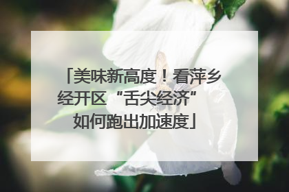 美味新高度！看萍乡经开区“舌尖经济” 如何跑出加速度