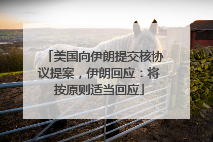 美国向伊朗提交核协议提案，伊朗回应：将按原则适当回应