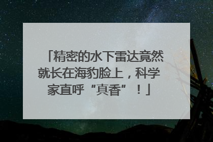 精密的水下雷达竟然就长在海豹脸上，科学家直呼“真香”！