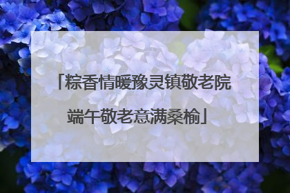 粽香情暖豫灵镇敬老院 端午敬老意满桑榆