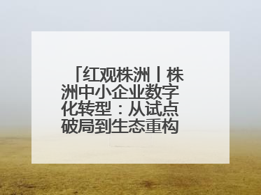 红观株洲丨株洲中小企业数字化转型：从试点破局到生态重构的进阶之路