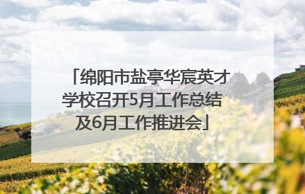 绵阳市盐亭华宸英才学校召开5月工作总结及6月工作推进会
