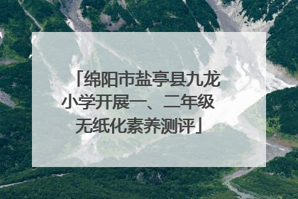 绵阳市盐亭县九龙小学开展一、二年级无纸化素养测评