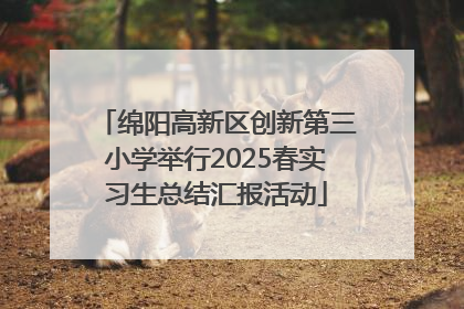 绵阳高新区创新第三小学举行2025春实习生总结汇报活动