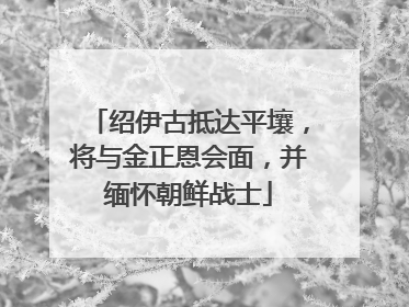 绍伊古抵达平壤，将与金正恩会面，并缅怀朝鲜战士
