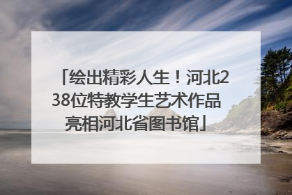 绘出精彩人生！河北238位特教学生艺术作品亮相河北省图书馆