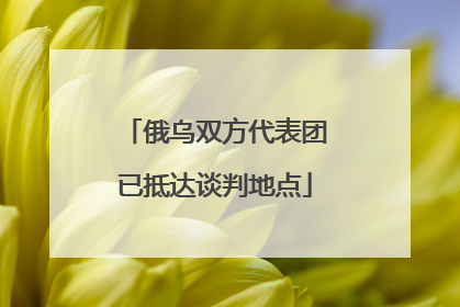俄乌双方代表团已抵达谈判地点
