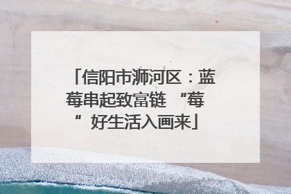 信阳市浉河区：蓝莓串起致富链 “莓”好生活入画来