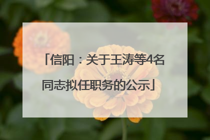 信阳：关于王涛等4名同志拟任职务的公示