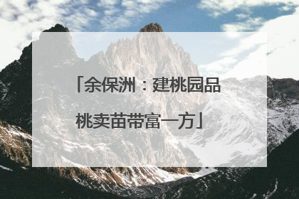 余保洲：建桃园品桃卖苗带富一方