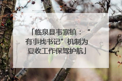 临泉县韦寨镇：“有事找书记”机制为夏收工作保驾护航