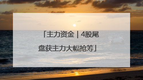 主力资金｜4股尾盘获主力大幅抢筹