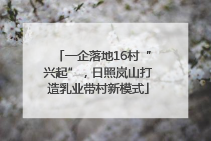 一企落地16村“兴起”，日照岚山打造乳业带村新模式