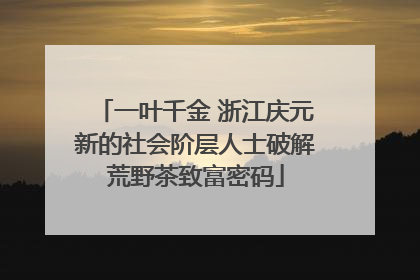 一叶千金 浙江庆元新的社会阶层人士破解荒野茶致富密码