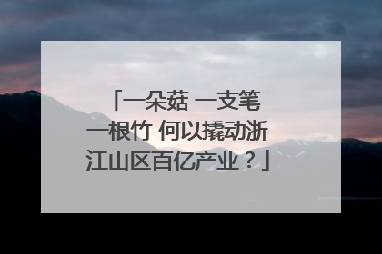一朵菇 一支笔 一根竹 何以撬动浙江山区百亿产业？