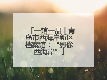 一馆一品丨青岛市西海岸新区档案馆：“影像西海岸”