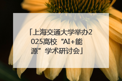 上海交通大学举办2025高校“AI+能源”学术研讨会