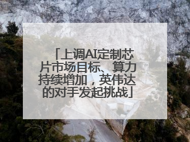 上调AI定制芯片市场目标、算力持续增加，英伟达的对手发起挑战