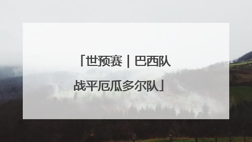 世预赛｜巴西队战平厄瓜多尔队