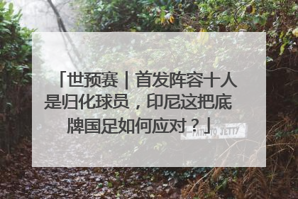 世预赛｜首发阵容十人是归化球员，印尼这把底牌国足如何应对？