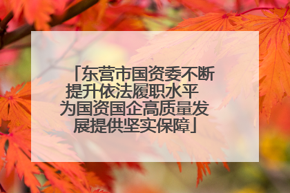 东营市国资委不断提升依法履职水平 为国资国企高质量发展提供坚实保障