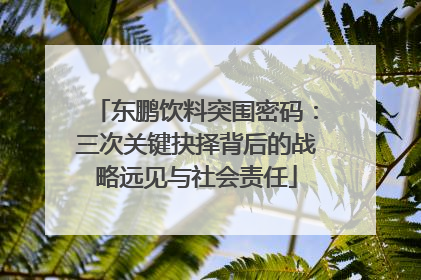 东鹏饮料突围密码：三次关键抉择背后的战略远见与社会责任