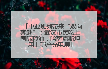 中亚班列带来“双向奔赴”：武汉市民吃上国际粮油，哈萨克斯坦用上鄂产光电屏