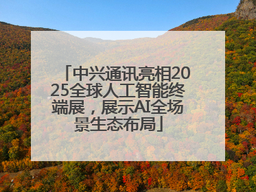 中兴通讯亮相2025全球人工智能终端展，展示AI全场景生态布局