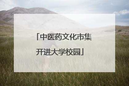 中医药文化市集开进大学校园