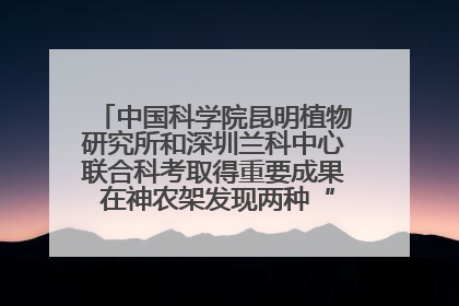 中国科学院昆明植物研究所和深圳兰科中心联合科考取得重要成果 在神农架发现两种“国保”级兰花