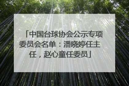 中国台球协会公示专项委员会名单：潘晓婷任主任，赵心童任委员
